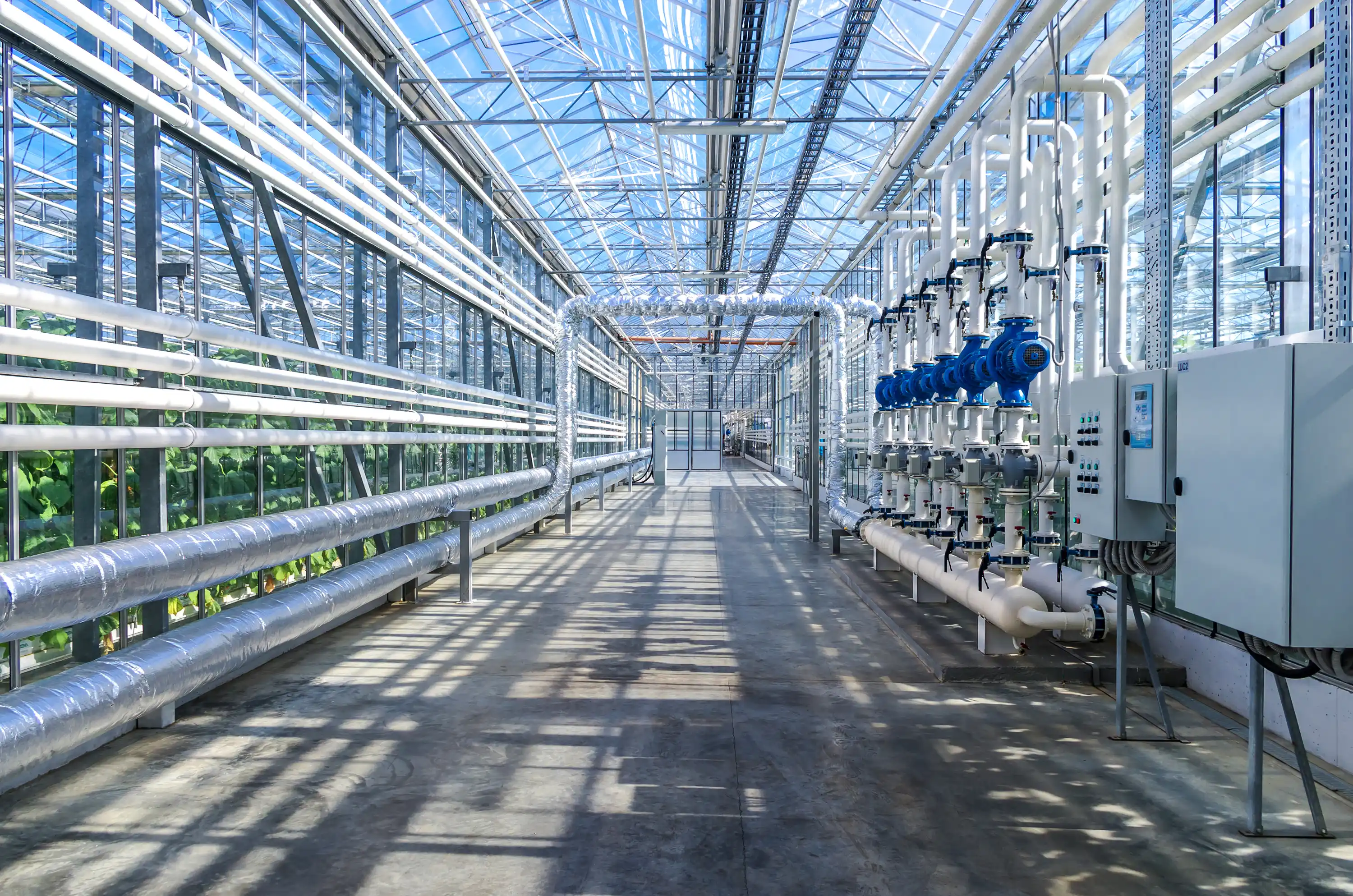 tuinbouw